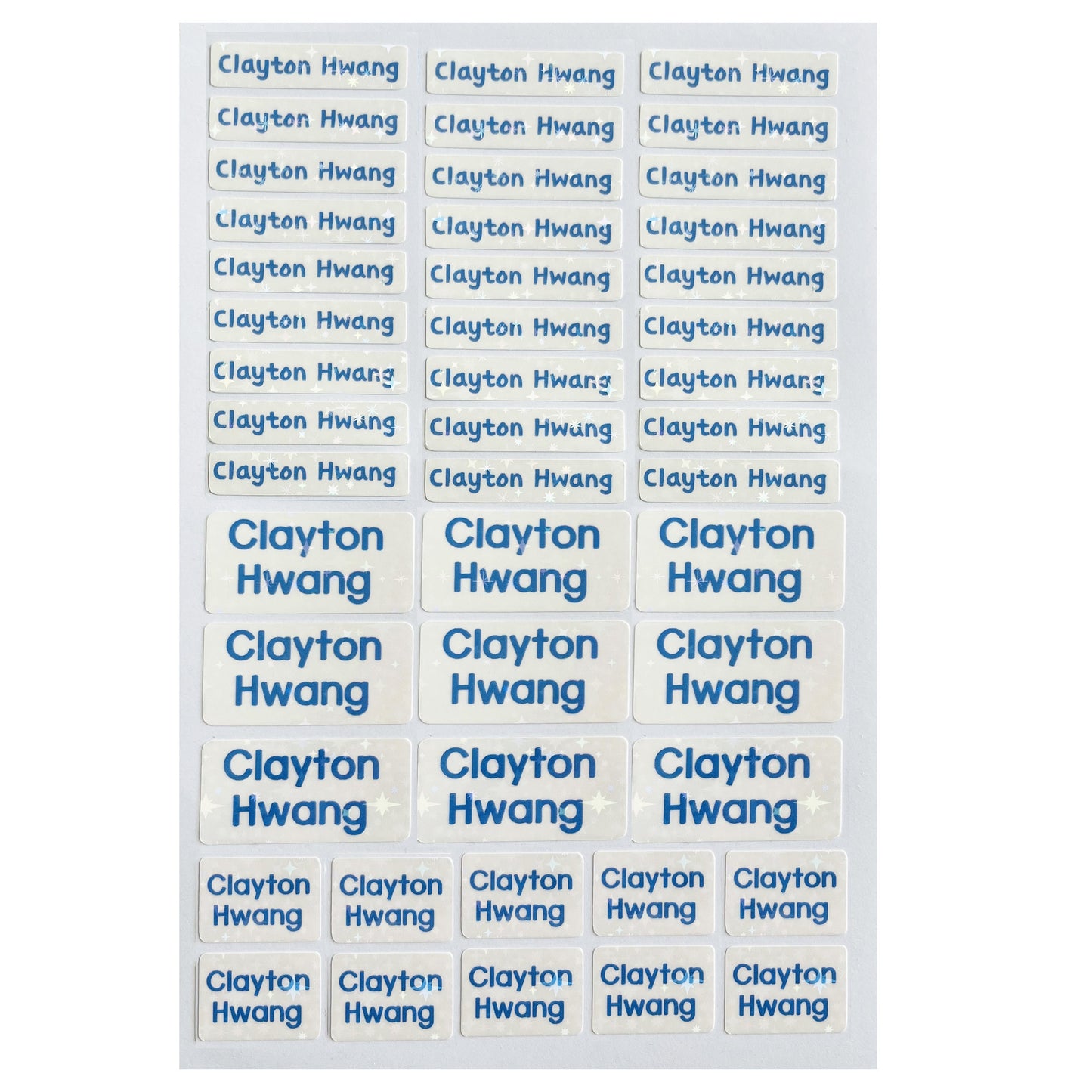 43 labels School name sticker, waterproof name sticker, Skinny name sticker