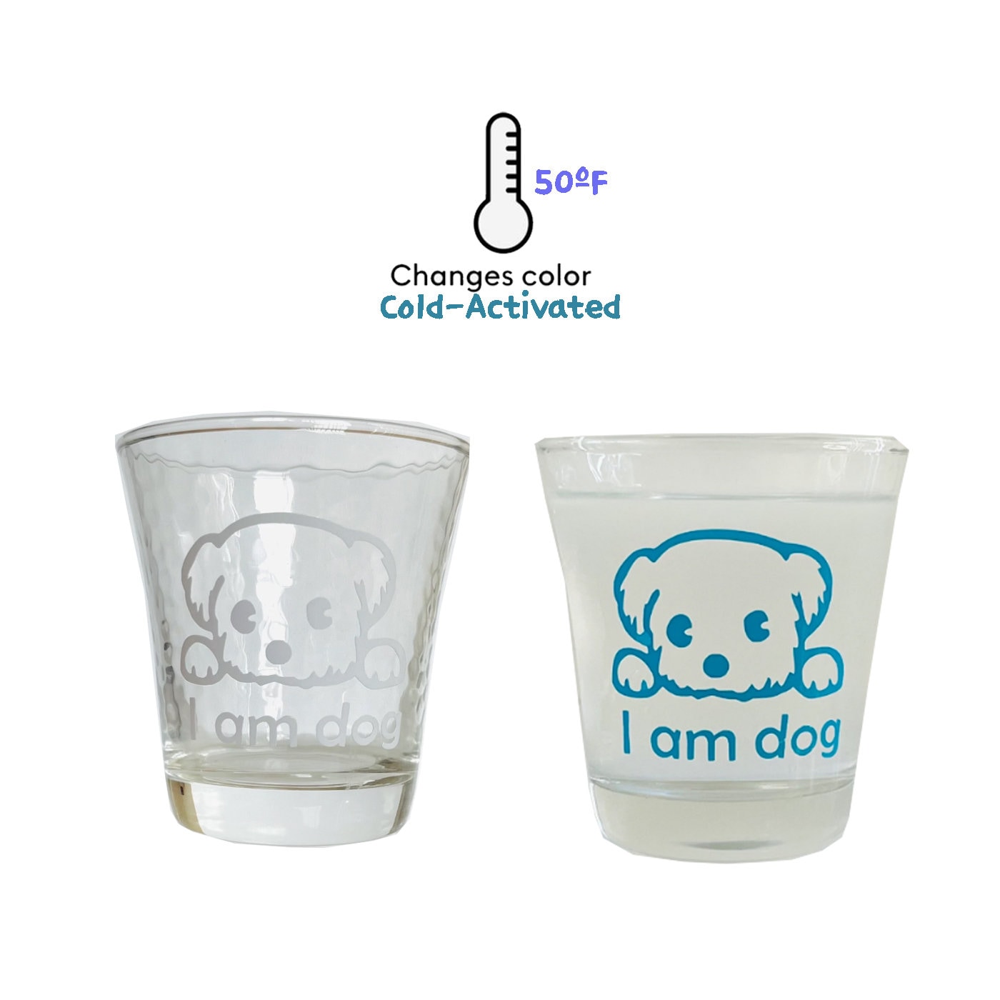 Color changed drinking glasses.Dog drinking glass